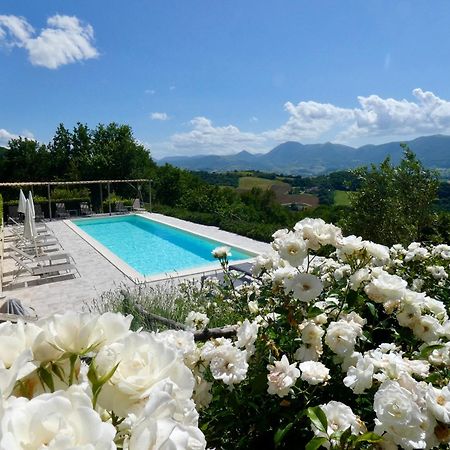 Borgo Crispiero Bed & Breakfast Dış mekan fotoğraf