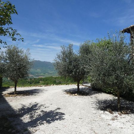 Borgo Crispiero Bed & Breakfast Dış mekan fotoğraf