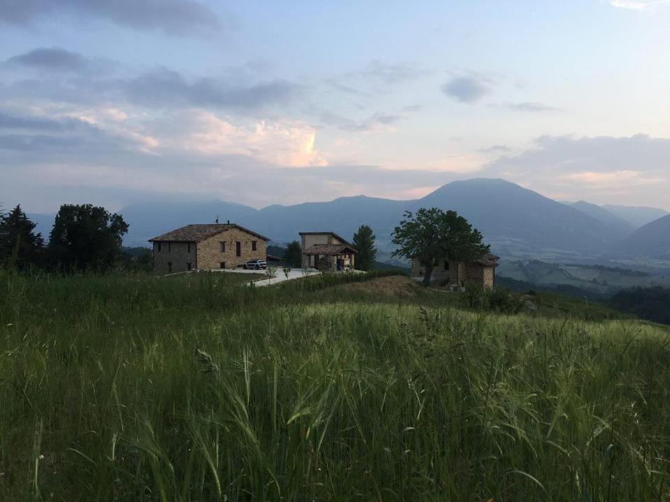Borgo Crispiero Bed & Breakfast Dış mekan fotoğraf