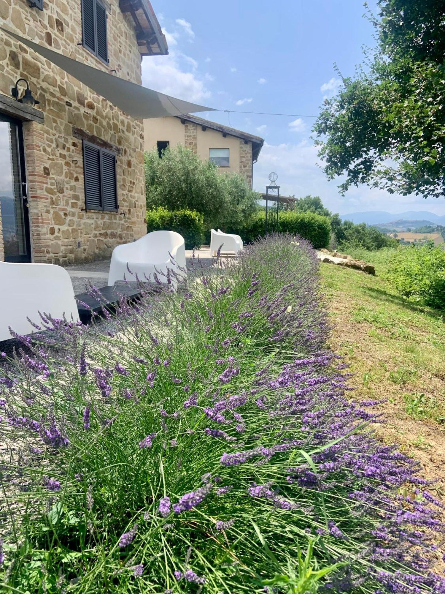 Borgo Crispiero Bed & Breakfast Dış mekan fotoğraf